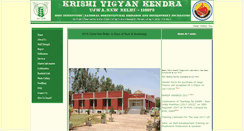 Desktop Screenshot of kvkdelhi.org
